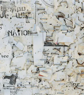 Mitch Epstein : Droits de propriété - Mitch Epstein: Property Rights