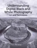 Comprendre la photographie numérique en noir et blanc : Art et techniques - Understanding Digital Black and White Photography: Art and Techniques