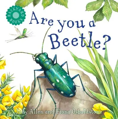 Êtes-vous un scarabée ? - Are You a Beetle?