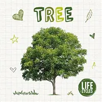 Cycle de vie d'un arbre - Life Cycle of a Tree