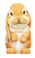 Petit lapin - Little Bunny