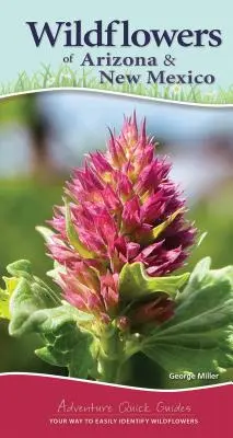 Les fleurs sauvages de l'Arizona et du Nouveau-Mexique : Votre façon d'identifier facilement les fleurs sauvages - Wildflowers of Arizona & New Mexico: Your Way to Easily Identify Wildflowers