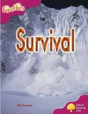 L'arbre à lire d'Oxford : Niveau 10 : Fireflies : Pack (6 livres, 1 de chaque titre) - Oxford Reading Tree: Level 10: Fireflies: Pack (6 books, 1 of each title)