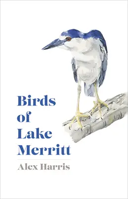 Les oiseaux du lac Merritt - Birds of Lake Merritt