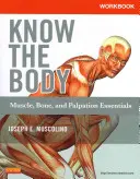 Cahier d'exercices pour Connaître le corps : L'essentiel des muscles, des os et de la palpation - Workbook for Know the Body: Muscle, Bone, and Palpation Essentials