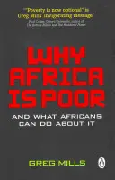 Pourquoi l'Afrique est pauvre - Why Africa is poor