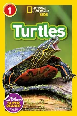 Tortues - Turtles