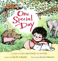 Une journée spéciale : Une histoire pour les grands frères et sœurs - One Special Day: A Story for Big Brothers and Sisters