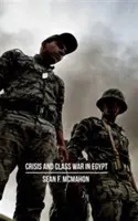 Crise et guerre de classe en Égypte : Reproduction sociale, réalignements factionnels et économie politique globale - Crisis and Class War in Egypt: Social Reproduction, Factional Realignments and the Global Political Economy