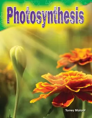 La photosynthèse - Photosynthesis