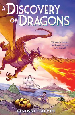 A la découverte des dragons - A Discovery of Dragons