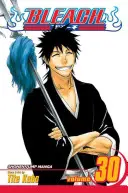 Bleach, Tome 30, 30 - Bleach, Vol. 30, 30