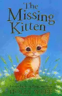 Chaton disparu - Missing Kitten