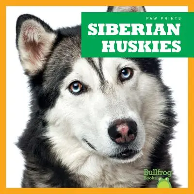 Huskies de Sibérie - Siberian Huskies