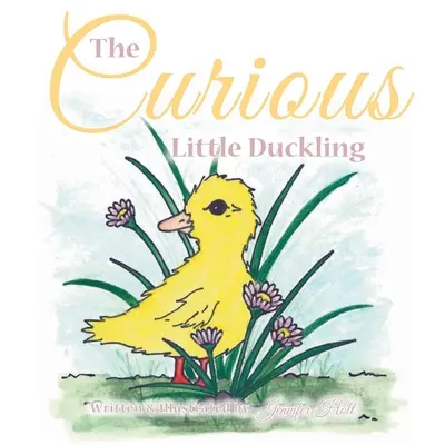 Le curieux petit canard - The Curious Little Duckling