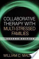 Thérapie collaborative avec les familles multi-stressées - Collaborative Therapy with Multi-Stressed Families