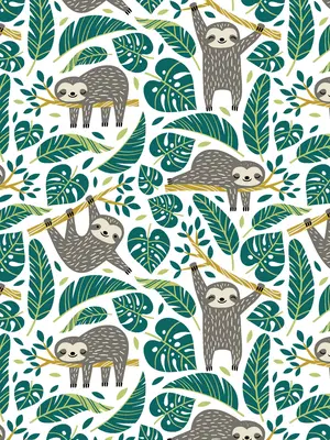 Journal du paresseux - Sloth Journal