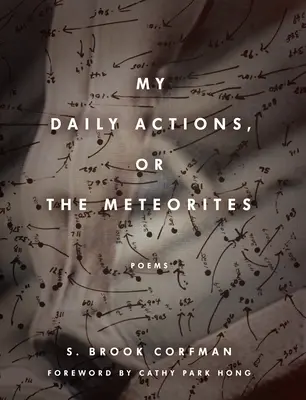 Mes actions quotidiennes, ou les météorites - My Daily Actions, or the Meteorites