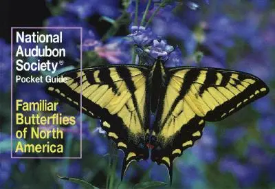 Guide de poche de la National Audubon Society : Papillons familiers d'Amérique du Nord - National Audubon Society Pocket Guide: Familiar Butterflies of North America