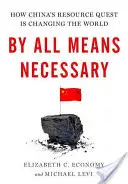 Par tous les moyens nécessaires : Comment la quête de ressources de la Chine change le monde - By All Means Necessary: How China's Resource Quest Is Changing the World