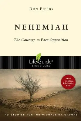 Néhémie : Le courage face à l'opposition - Nehemiah: Courage in the Face of Opposition