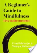 Guide de la pleine conscience pour les débutants : Vivre le moment présent - A Beginner's Guide to Mindfulness: Live in the Moment