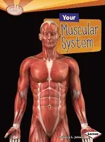 Votre système musculaire - Your Muscular System