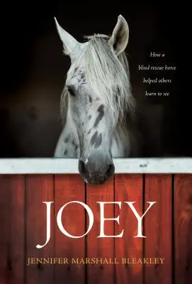 Joey : Comment un cheval aveugle a aidé les autres à apprendre à voir - Joey: How a Blind Rescue Horse Helped Others Learn to See