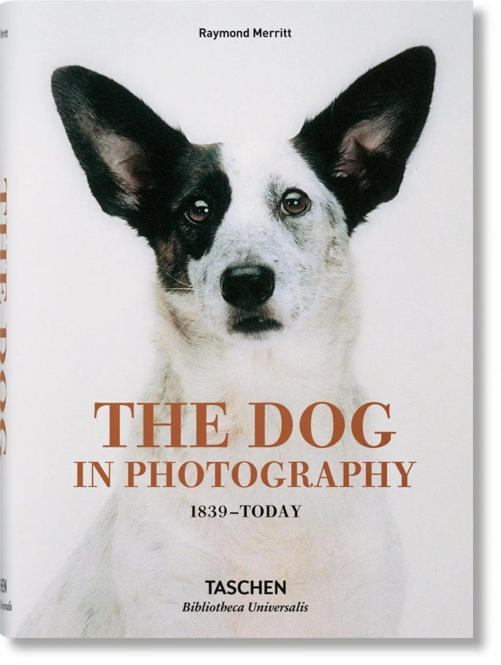 Le chien dans la photographie 1839-aujourd'hui - The Dog in Photography 1839-Today