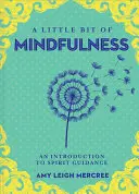 Un peu de pleine conscience, 13 : Une introduction à l'état de présence - A Little Bit of Mindfulness, 13: An Introduction to Being Present