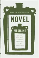 La médecine des romans : Guérison, littérature et savoir populaire dans la Chine du début des temps modernes - Novel Medicine: Healing, Literature, and Popular Knowledge in Early Modern China