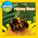 Explorer mon monde : Les abeilles - Explore My World: Honey Bees