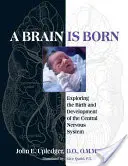 Un cerveau est né : Exploration de la naissance et du développement du système nerveux central - A Brain Is Born: Exploring the Birth and Development of the Central Nervous System