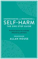 Comprendre et réagir face à l'automutilation : le guide unique : Conseils pratiques pour toute personne affectée par l'automutilation - Understanding and Responding to Self-Harm: The One Stop Guide: Practical Advice for Anybody Affected by Self-Harm