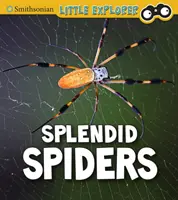 De magnifiques araignées - Splendid Spiders