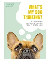 A quoi pense mon chien ? - Comprendre son chien pour lui offrir une vie heureuse - What's My Dog Thinking? - Understand Your Dog to Give Them a Happy Life