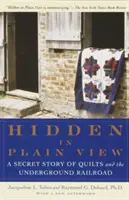 Caché au vu de tous : L'histoire secrète des quilts et du chemin de fer clandestin - Hidden in Plain View: A Secret Story of Quilts and the Underground Railroad