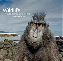 Photographe de l'année pour la faune et la flore : Portfolio 28 - Wildlife Photographer of the Year: Portfolio 28