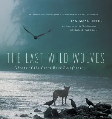 Les derniers loups sauvages : Les fantômes de la forêt tropicale - The Last Wild Wolves: Ghosts of the Rain Forest