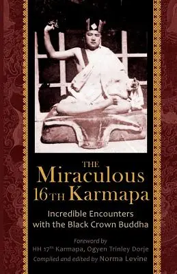 Le miraculeux 16e Karmapa - The Miraculous 16th Karmapa