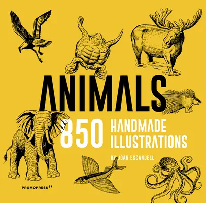 Animaux : 850 illustrations faites à la main - Animals: 850 Handmade Illustrations