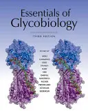 L'essentiel de la glycobiologie, troisième édition - Essentials of Glycobiology, Third Edition