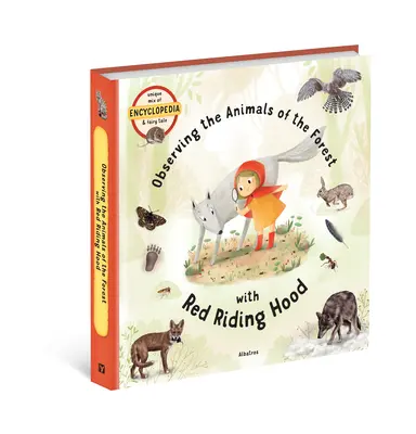 Observer les animaux de la forêt avec le petit chaperon rouge - Observing the Animals of the Forest with Little Red Riding Hood