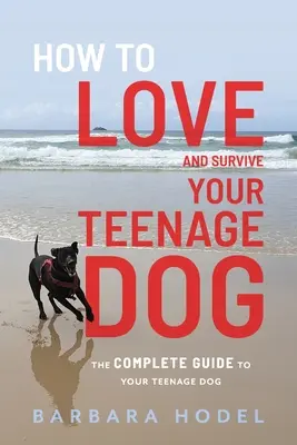 Comment aimer et survivre à votre chien adolescent - How to Love and Survive Your Teenage Dog