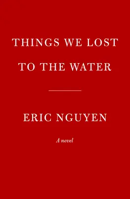 Les choses que nous avons perdues dans l'eau - Things We Lost to the Water