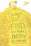 Ce que l'on trouve dans la barbe d'un poète - Things You Find in a Poet's Beard