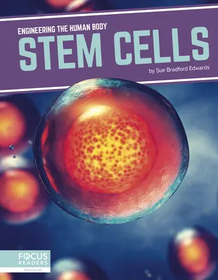 Cellules souches - Stem Cells