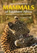 Stuarts' Field Guide to Mammals of Southern Africa (Guide de terrain des mammifères d'Afrique australe) - Stuarts' Field Guide to Mammals of Southern Africa