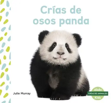 Cras de Osos Panda (Les petits pandas) - Cras de Osos Panda (Panda Cubs)