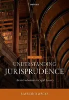 Comprendre la jurisprudence - Une introduction à la théorie juridique - Understanding Jurisprudence - An Introduction to Legal Theory